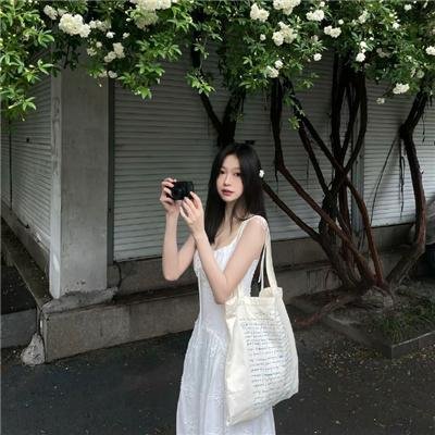 万里寻妹
